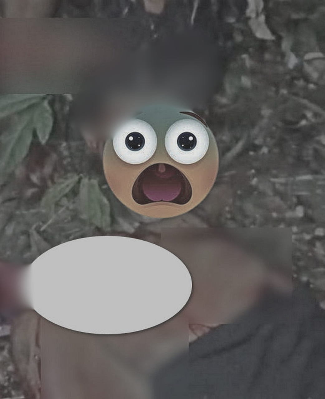 Brazil: Hai vụ án m-ạ..ng liên tiếp tại Eunápolis nghi liên quan đến bạo lực băng nhóm