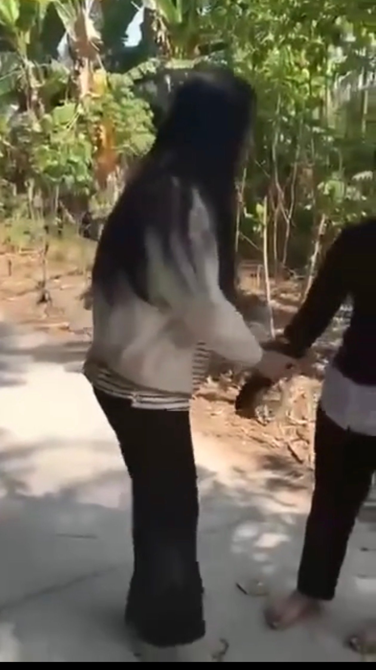 1 bạn nữ b! Baohanh damaan