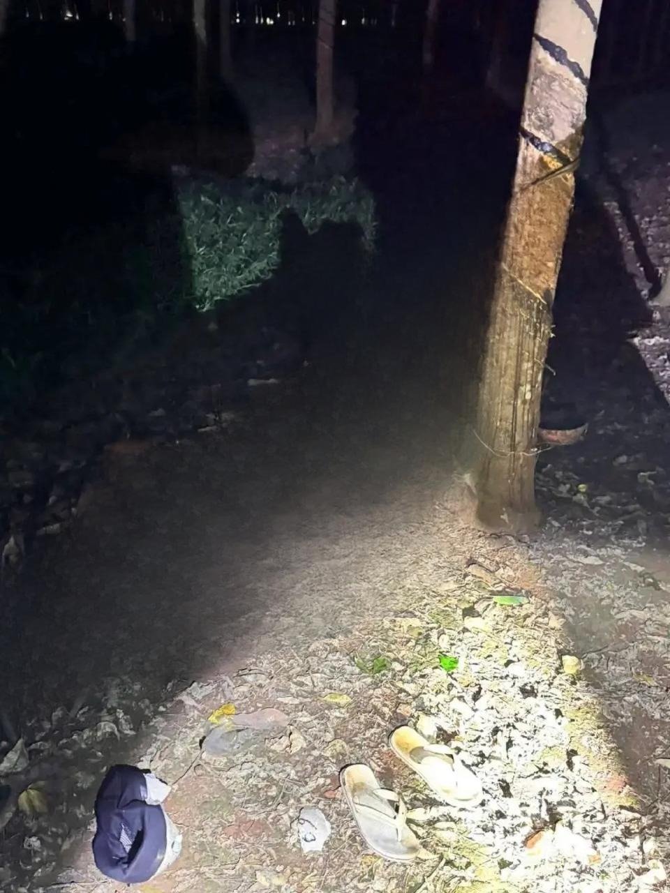 Dầu tiếng, Đồng Nai